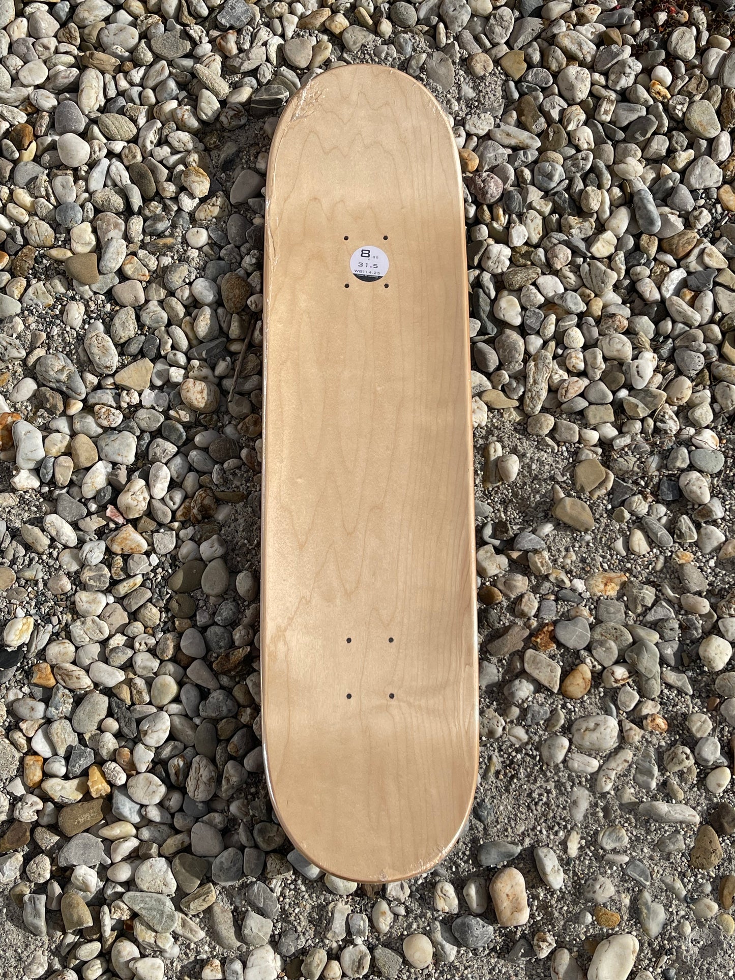 419GRIPCO. Circus Deck 8.25