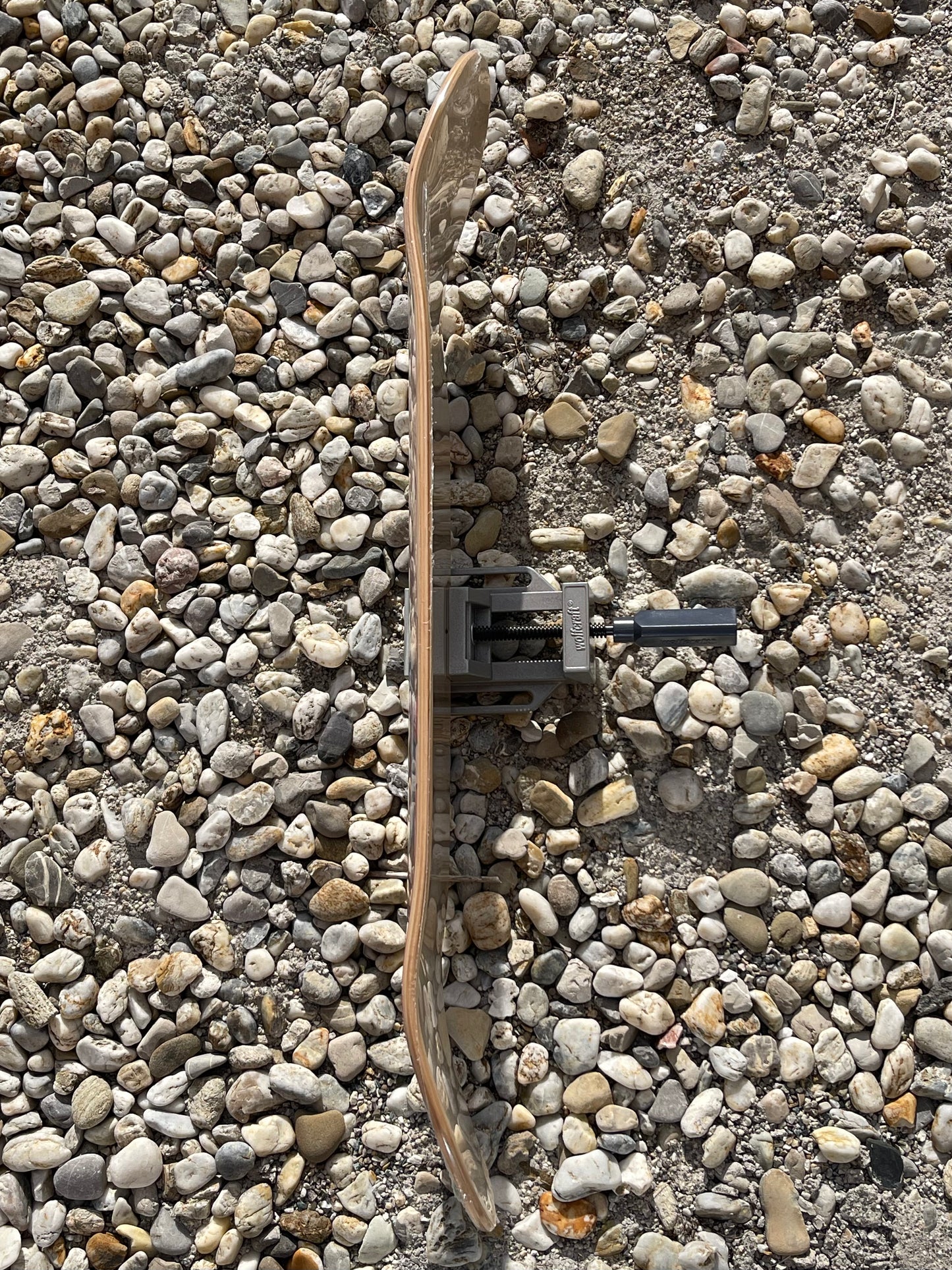 419GRIPCO. Circus Deck 8.25